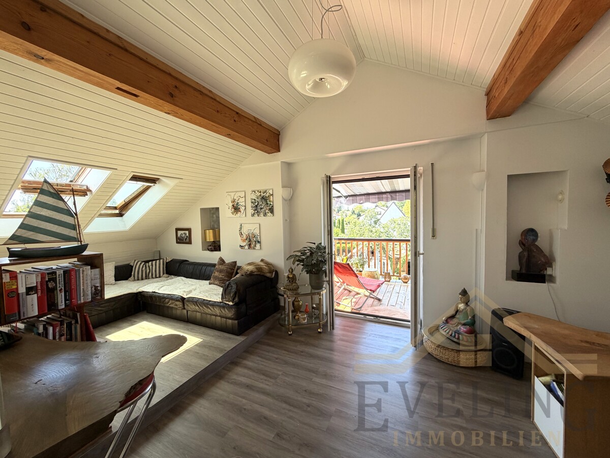 Zugang Balkon DG